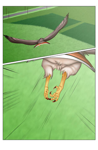 Ch1 Pg3 Ch1 Pg3